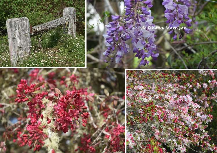 726 Paparoa Station Road Maungaturoto_22