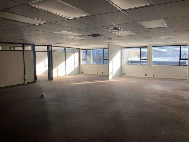 62 Victoria Street Petone_1