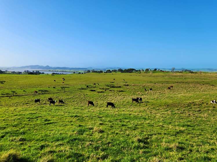 Pouto Road and Sarich Road Te Kopuru_11