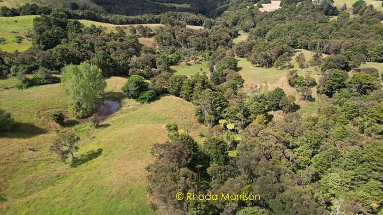 318 Franklin Road Paparoa_51
