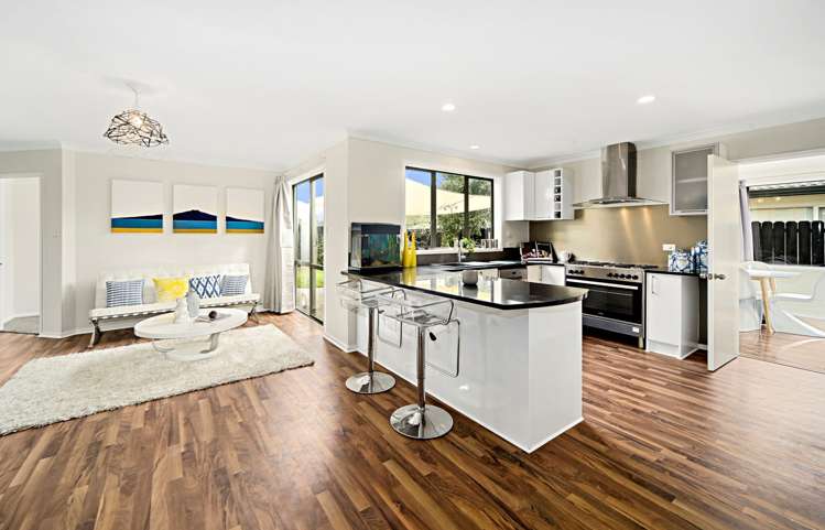 16 Naul Place East Tamaki Heights_2