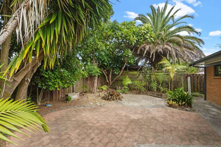 6 Palm Court Drive Glen Eden_16