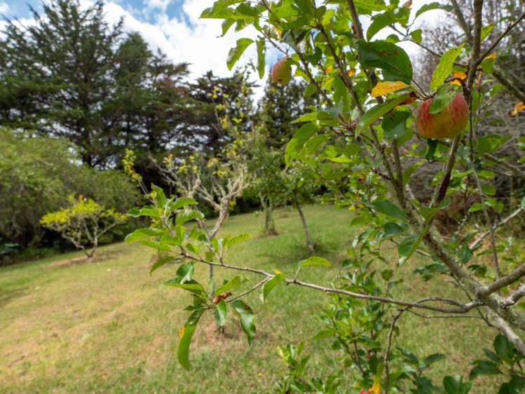 301 Puketotara Road Kerikeri Surrounds_48