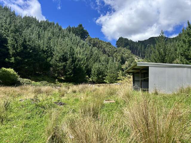 328B Kaka Road Okoki_4