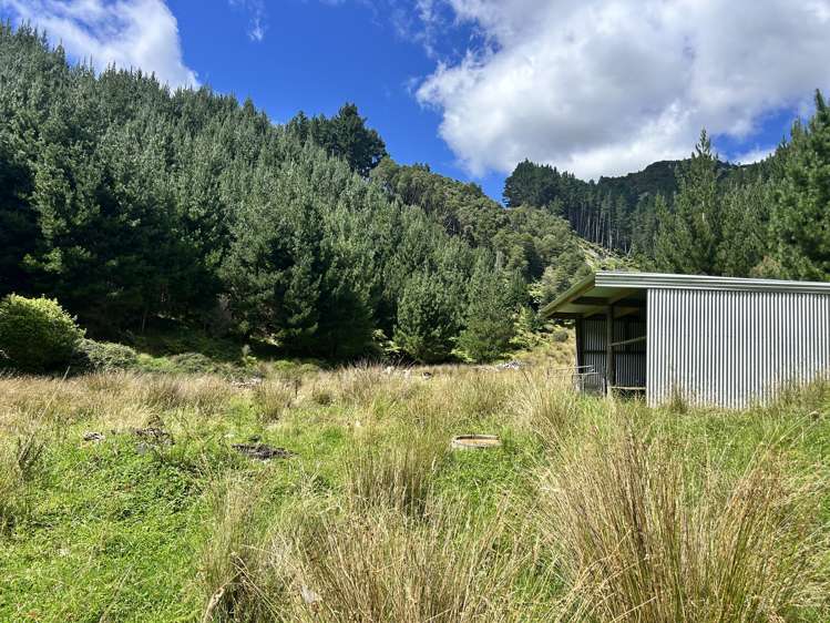 328B Kaka Road Okoki_4