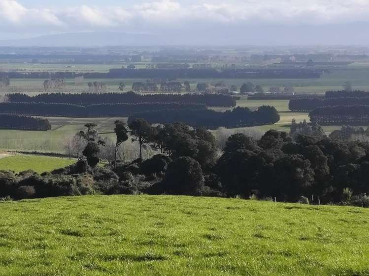 137 Kahikatea Drive Winton_14