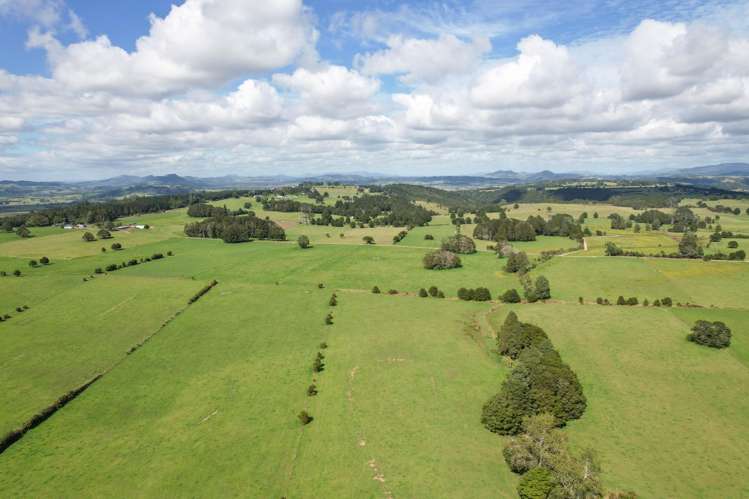 503 Puhipuhi Road Whakapara_42