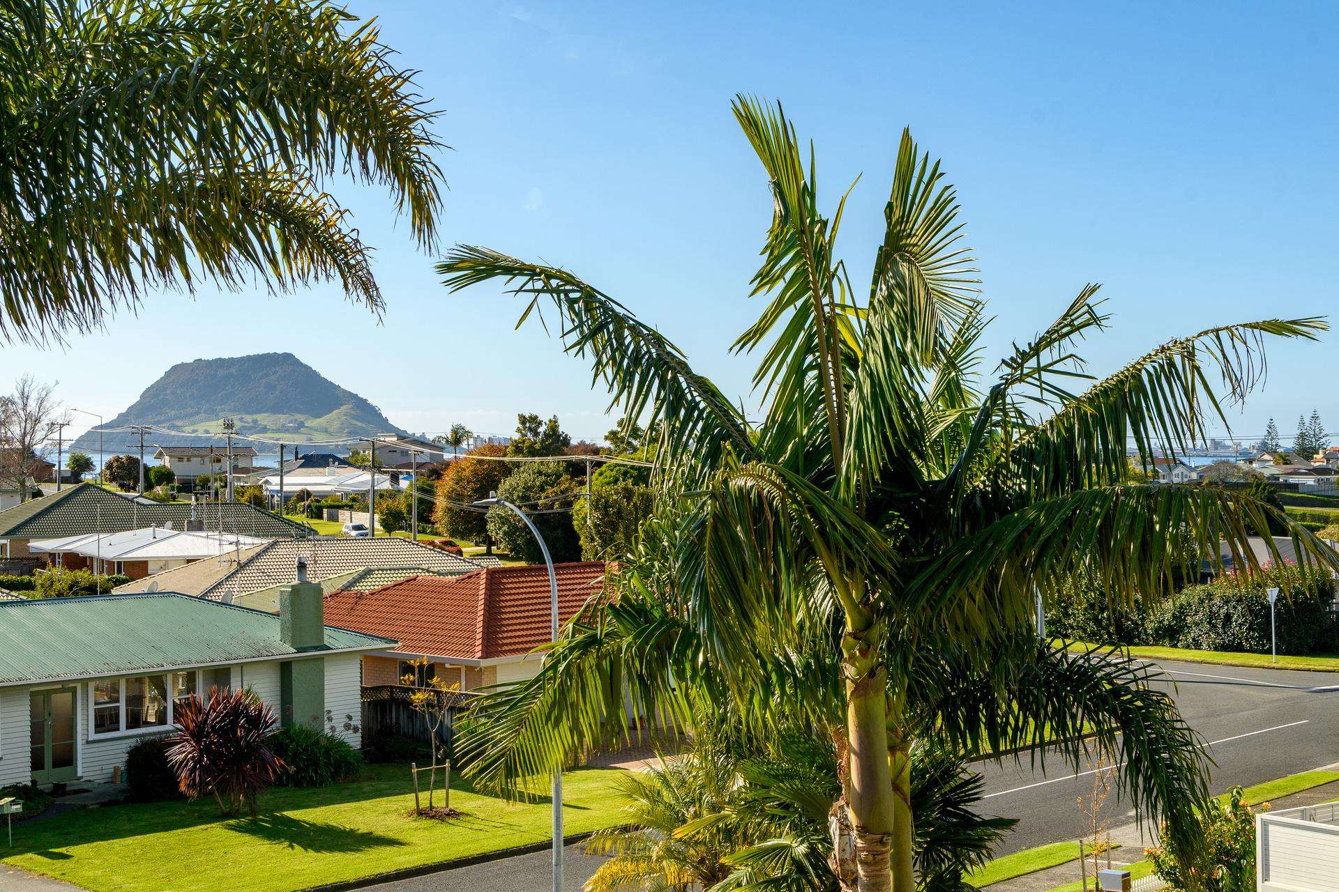 65 Freyberg Street Otumoetai_0