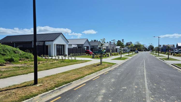 3 Mataikokako  Loop Kawakawa Bay_5