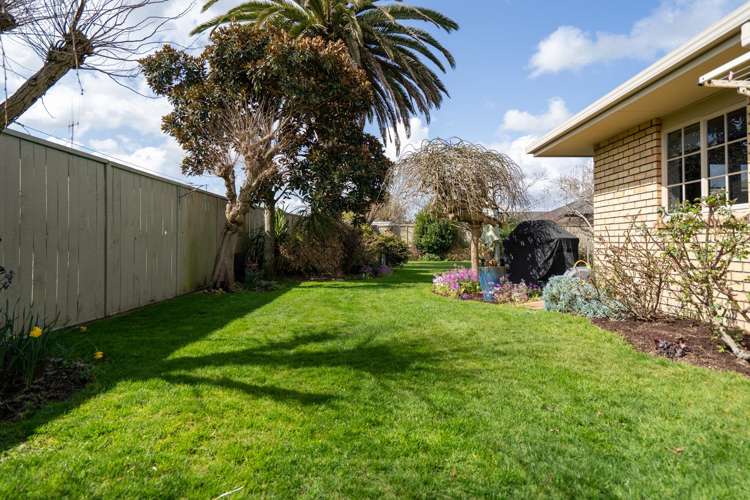 14 Alba Place Cambridge_22