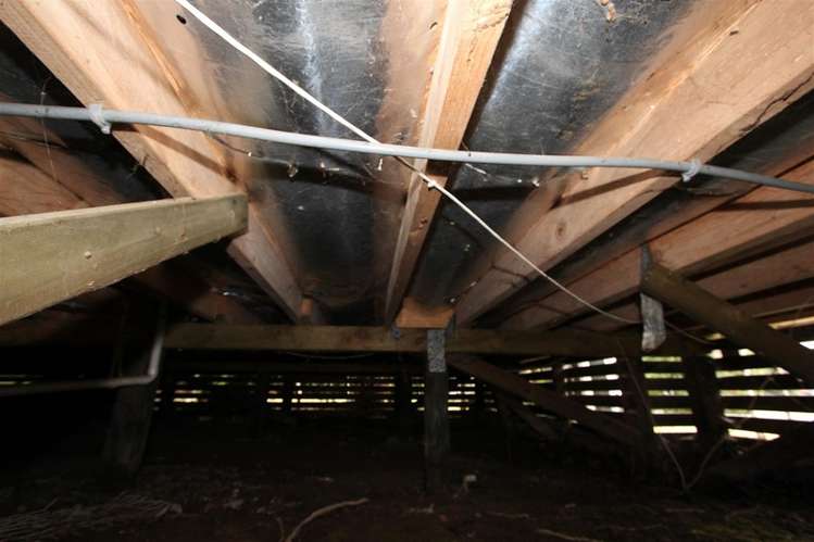 21b Kiwi Street Springfield_18