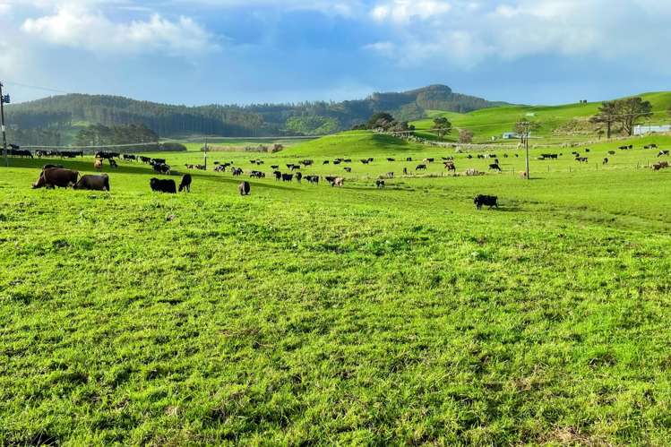 392 and 421 Journeys End Tapora_9