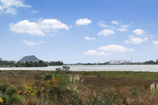 2 Blenheim Place Judea_2