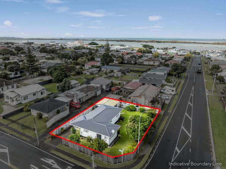 223 Puriri Street_3