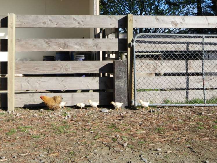 160 Dawsons Road Ohoka_17