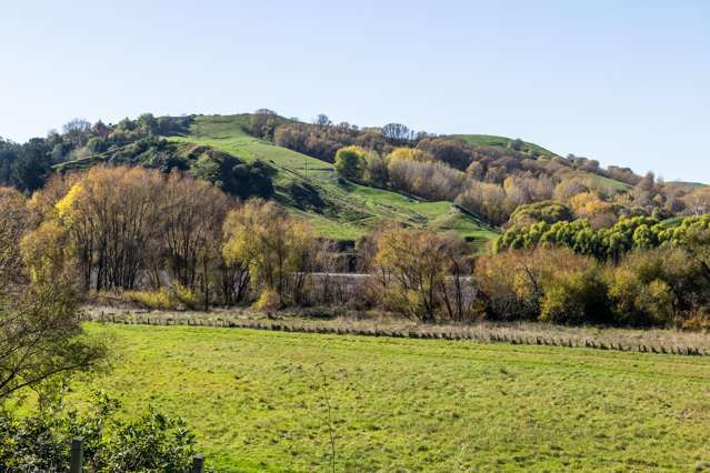 56 River Road Havelock North_4