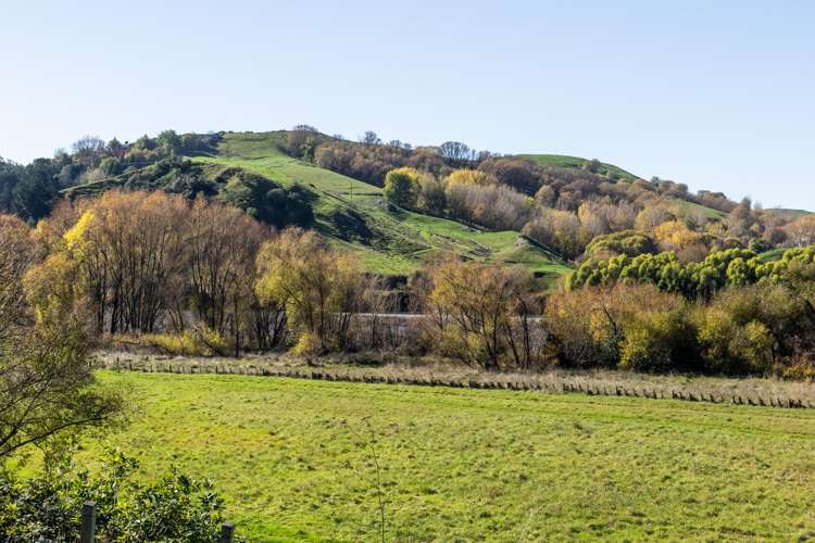 56 River Road Havelock North_4