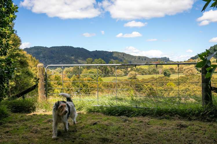 49 Mangotahi Road Thames_21