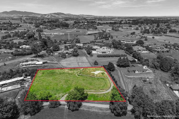 3/103 Maungakawa Road Cambridge_3