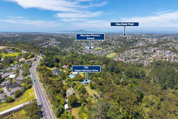 251 Upper Harbour Drive Greenhithe_28