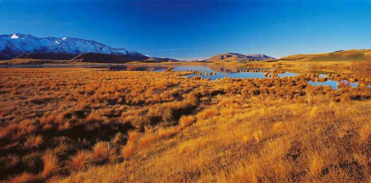 Telegraph Road Darfield_15