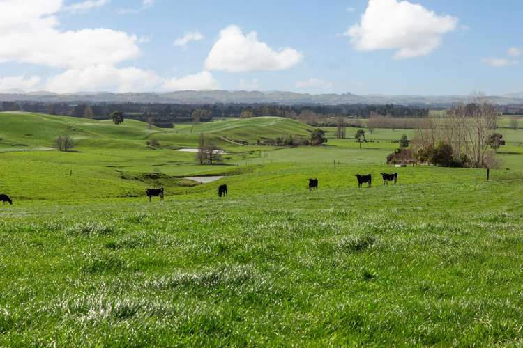 2048 State Highway 50 Ongaonga_19