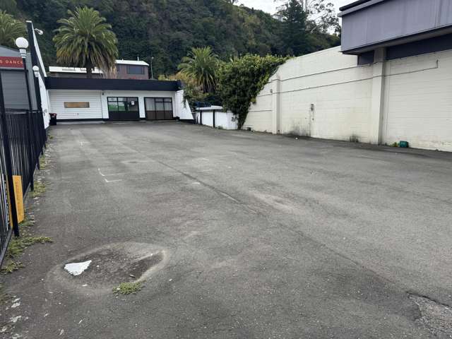 23 Carlyle Street Napier South_1