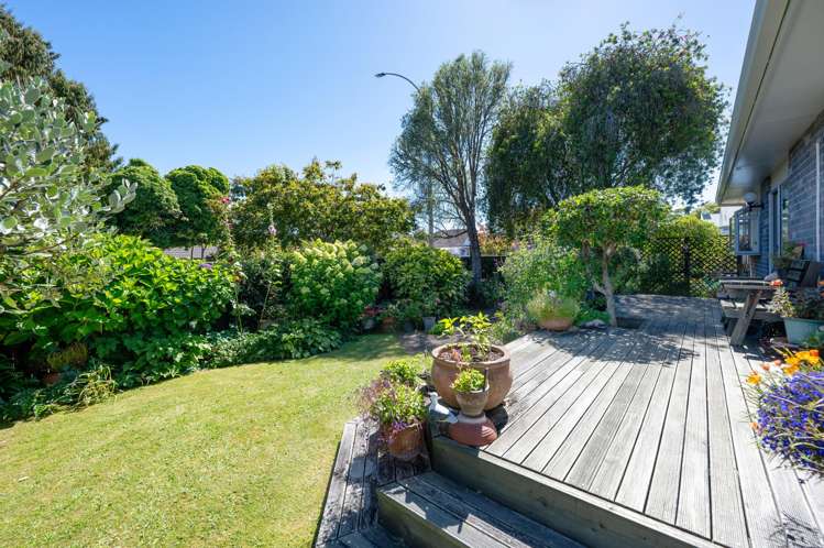 8a Devon Street Glenholme_12