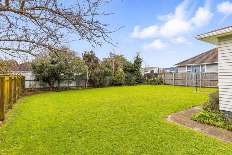 33 Middlesex Street Levin_15