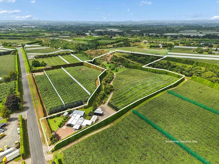 447 No2 Road Te Puke_0