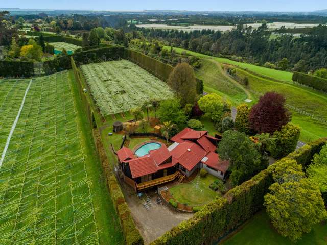 706 No 1 Road Te Puke_2