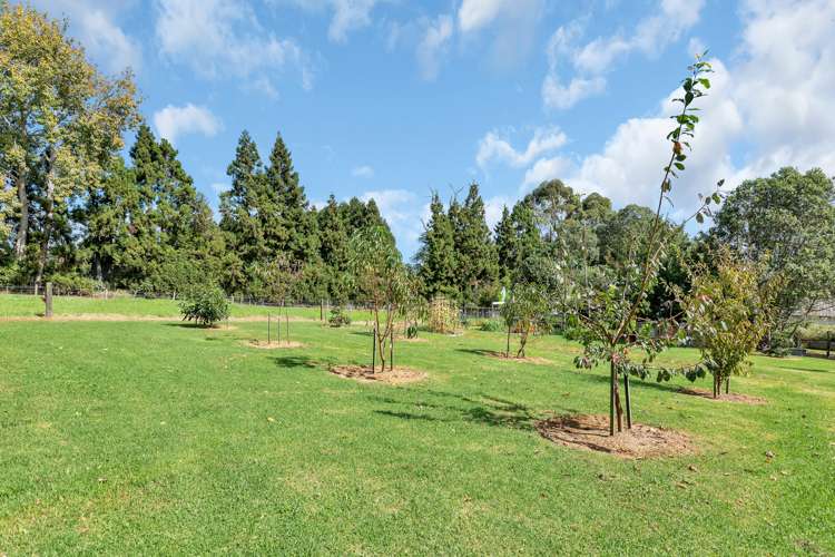 410a Whatitiri Road Poroti_14
