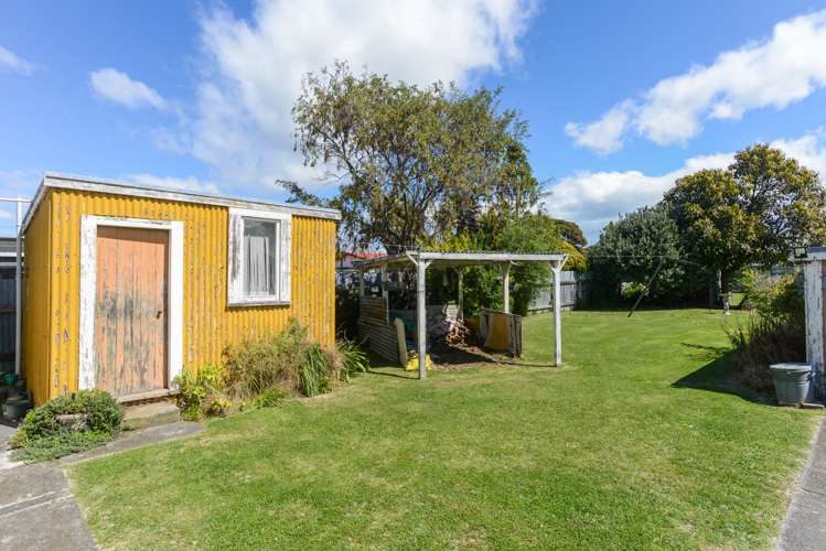 25 Mcgrath Street Napier South_16