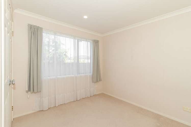 146a Gloucester Street Taradale_9