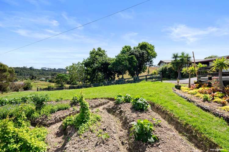 10 Gum Road Henderson Valley_5