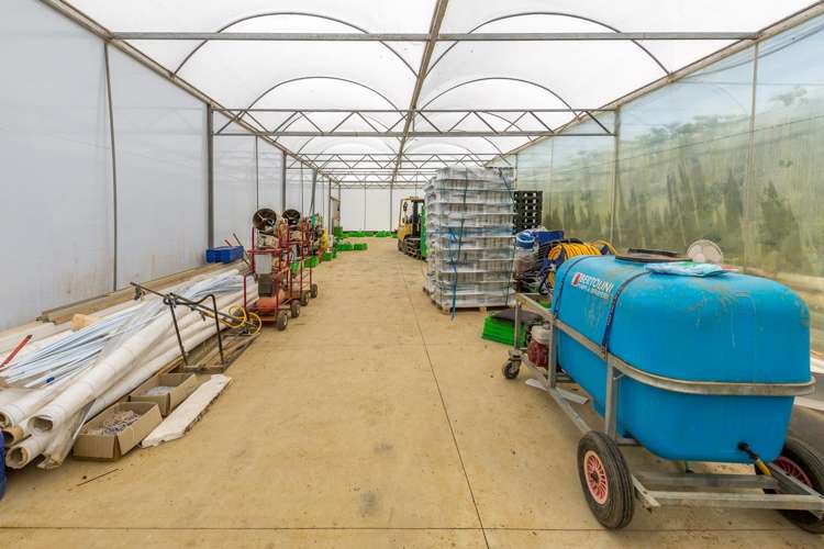 379 Razorback Road Pokeno_16