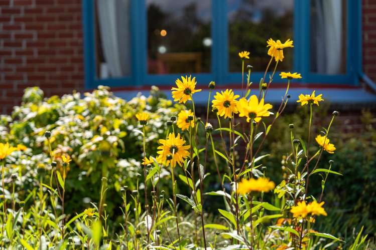 3 Mold Street Middlemarch_10