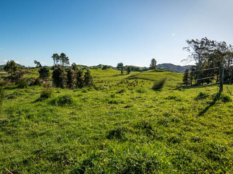 Ruatiti Road Raetihi_13