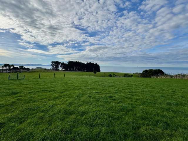 Lot 4/126 Akatore Road Taieri Beach_4