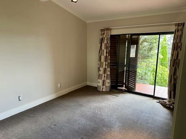41 Manurere Avenue Takapuna_4