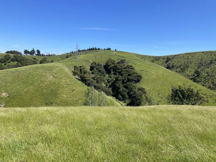 Cameron Road Tapanui_5