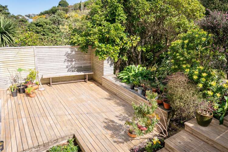 15a Hoggard Street Vogeltown_19