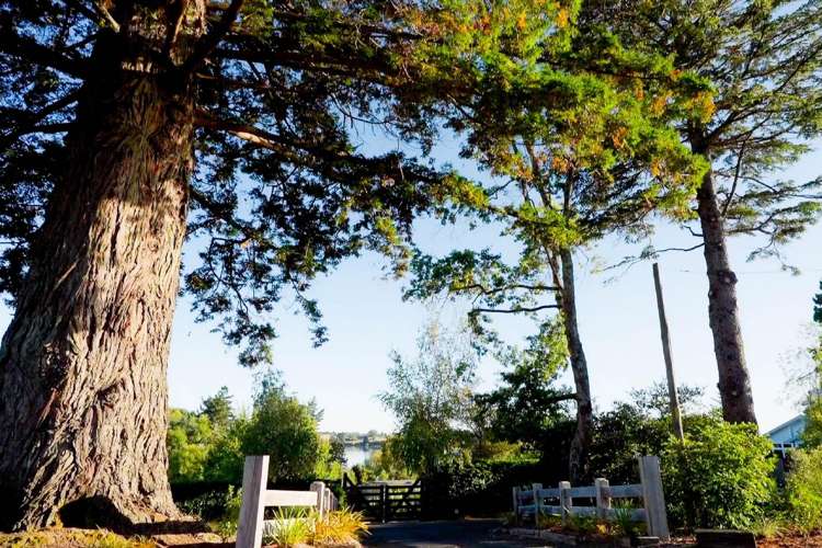Te Koi The Lodge, 133 Bronte Road East Bronte_14