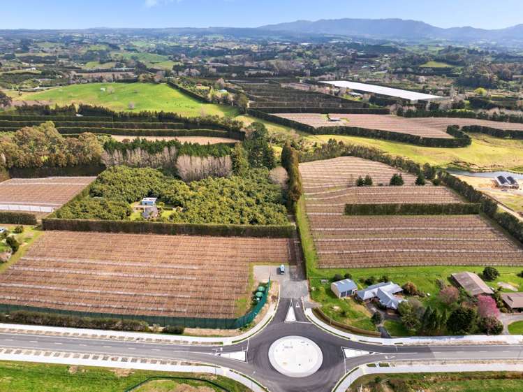 61 Prole Road Omokoroa_13