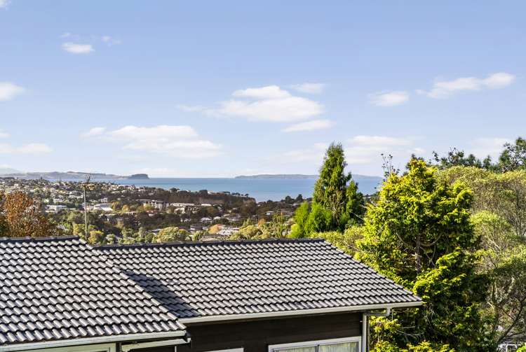 539c East Coast Road Browns Bay_21