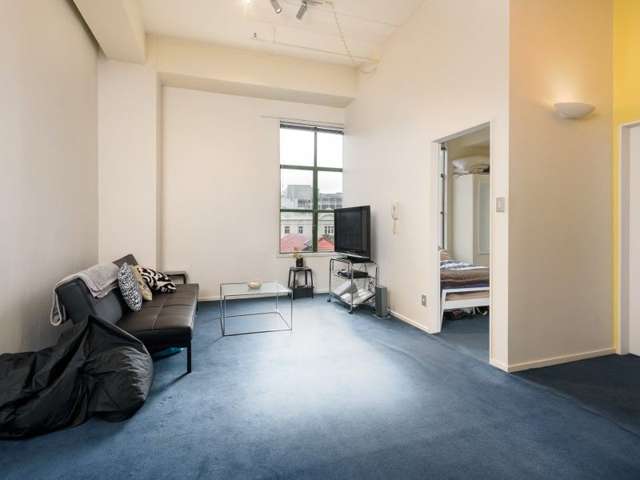 17/5 Eva Street Te Aro_2