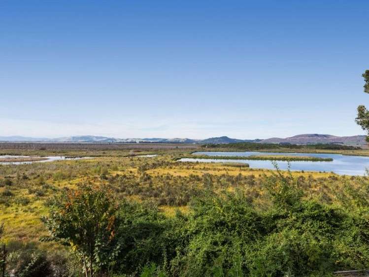 939 Berwick Road Berwick Forest_17