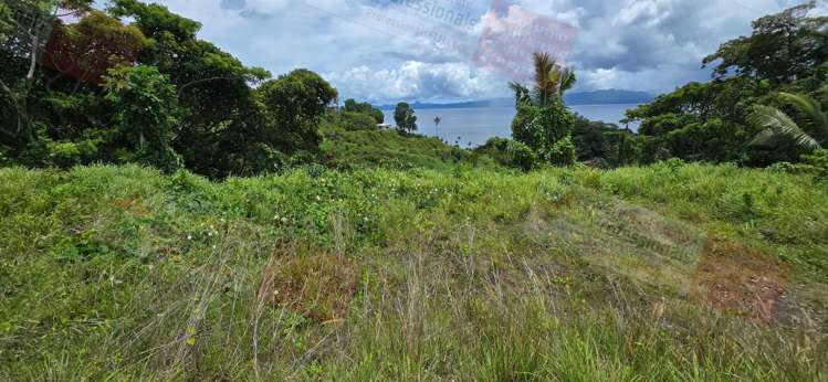 Address withheld Savusavu_19