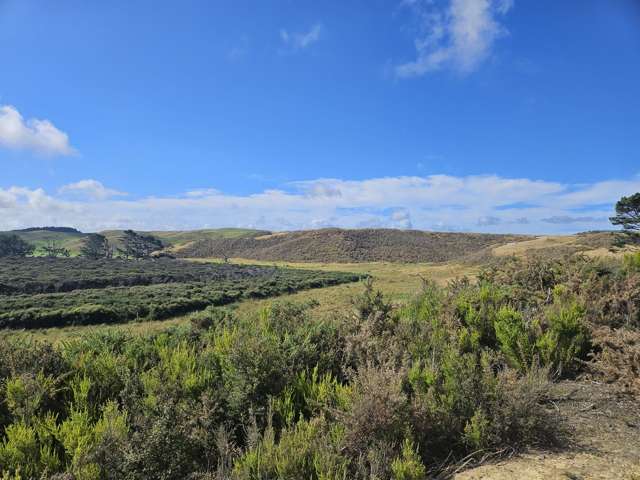 1 Basin Road Dargaville_3