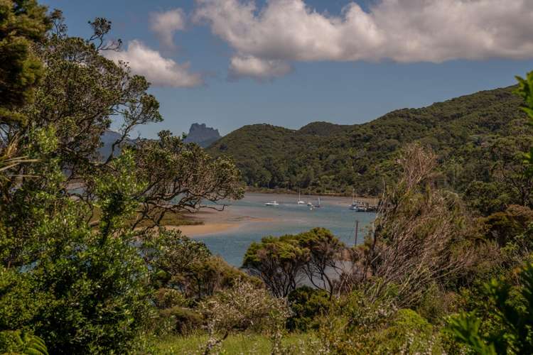 102 Tangiora Avenue Whangapoua_24